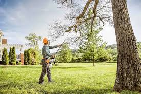Best Landscape Design and Installation  in Westlake, TX